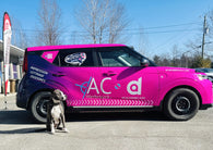 Lettrage de véhicule prix à partir de...