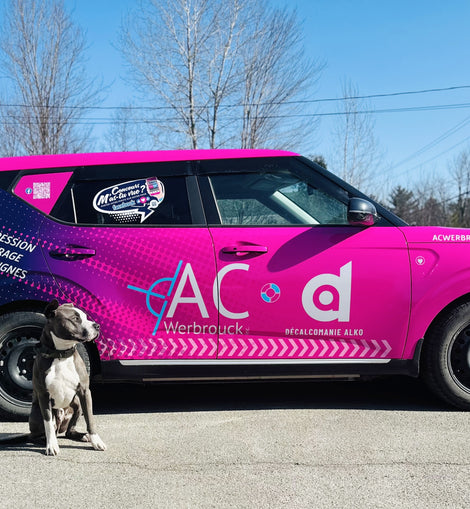 Lettrage de véhicule prix à partir de...